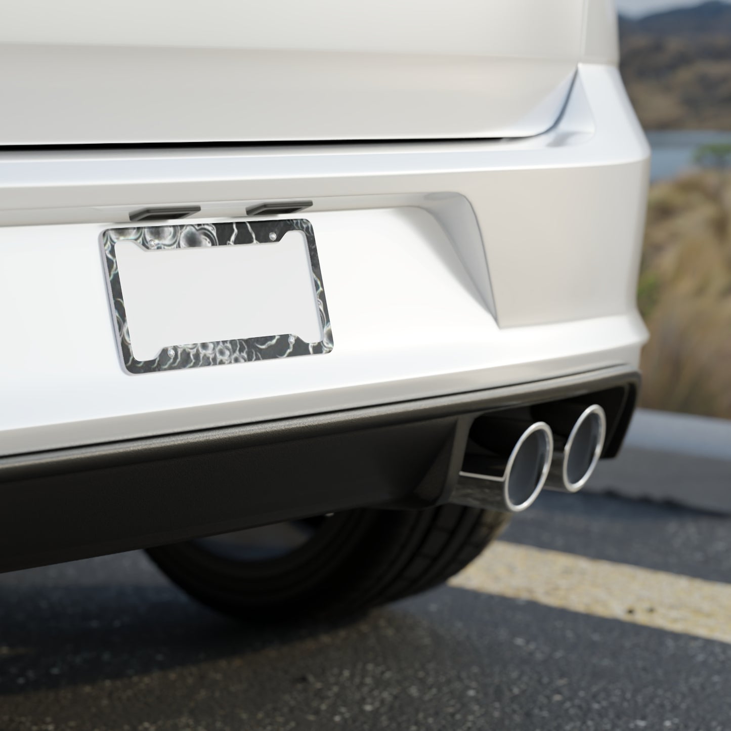 Centipede License Plate Frame Design